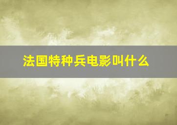 法国特种兵电影叫什么