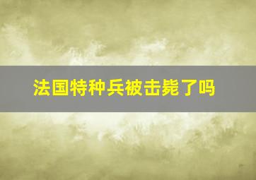 法国特种兵被击毙了吗