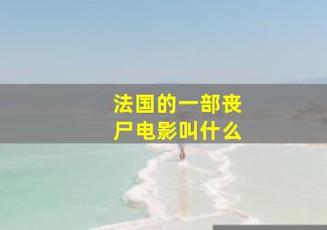 法国的一部丧尸电影叫什么