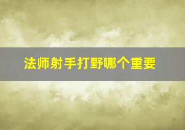 法师射手打野哪个重要