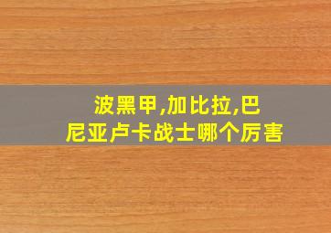 波黑甲,加比拉,巴尼亚卢卡战士哪个厉害