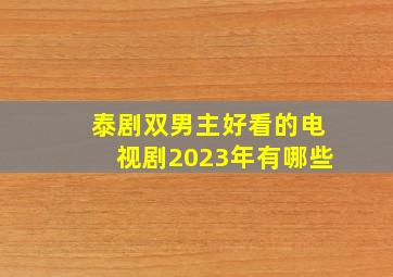 泰剧双男主好看的电视剧2023年有哪些