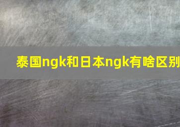 泰国ngk和日本ngk有啥区别