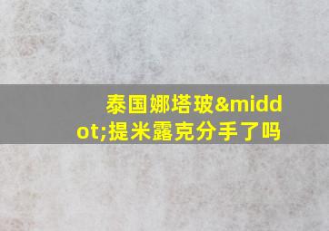 泰国娜塔玻·提米露克分手了吗