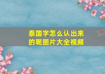 泰国字怎么认出来的呢图片大全视频