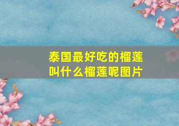 泰国最好吃的榴莲叫什么榴莲呢图片