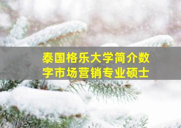 泰国格乐大学简介数字市场营销专业硕士