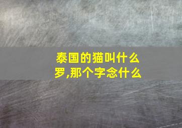 泰国的猫叫什么罗,那个字念什么