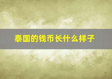 泰国的钱币长什么样子