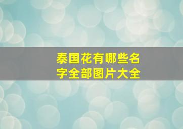 泰国花有哪些名字全部图片大全