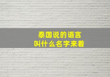 泰国说的语言叫什么名字来着