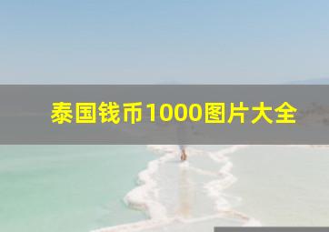 泰国钱币1000图片大全