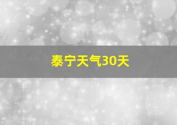 泰宁天气30天