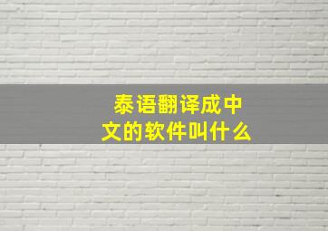 泰语翻译成中文的软件叫什么