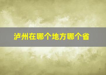 泸州在哪个地方哪个省