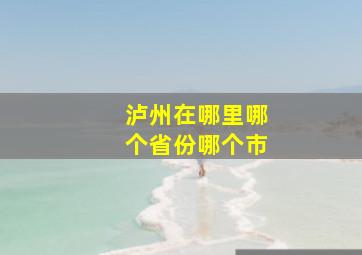 泸州在哪里哪个省份哪个市