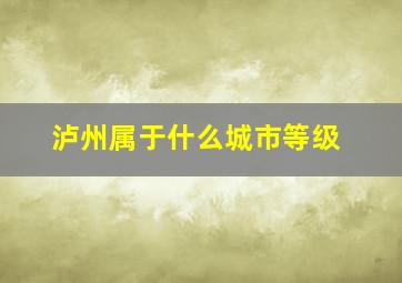 泸州属于什么城市等级