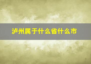 泸州属于什么省什么市