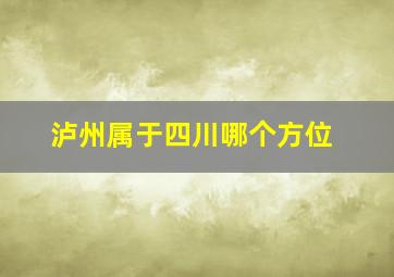 泸州属于四川哪个方位