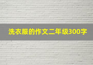 洗衣服的作文二年级300字