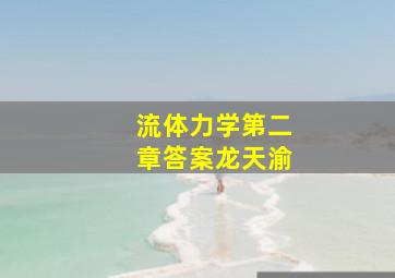 流体力学第二章答案龙天渝