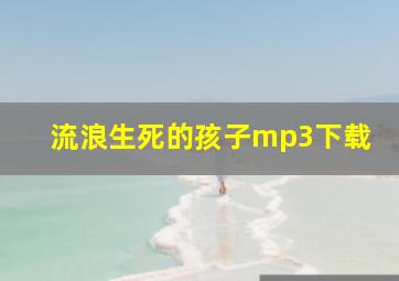 流浪生死的孩子mp3下载