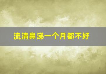 流清鼻涕一个月都不好