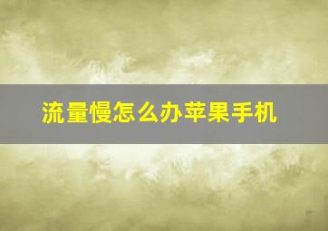 流量慢怎么办苹果手机