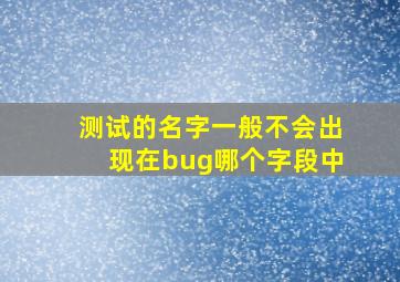 测试的名字一般不会出现在bug哪个字段中