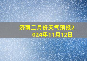 济南二月份天气预报2024年11月12日