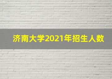 济南大学2021年招生人数