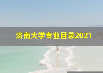 济南大学专业目录2021