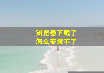 浏览器下载了怎么安装不了