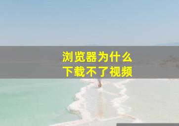 浏览器为什么下载不了视频