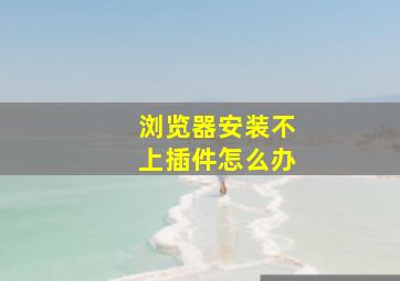 浏览器安装不上插件怎么办