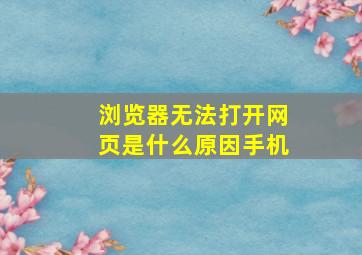 浏览器无法打开网页是什么原因手机