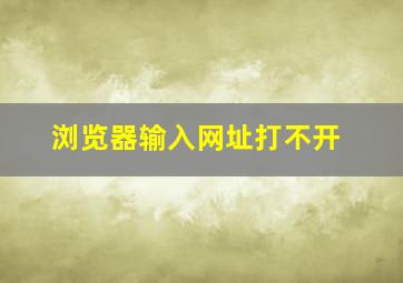 浏览器输入网址打不开