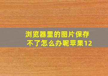 浏览器里的图片保存不了怎么办呢苹果12