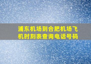 浦东机场到合肥机场飞机时刻表查询电话号码