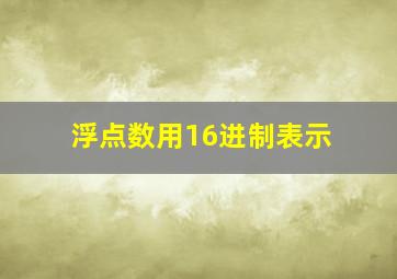 浮点数用16进制表示