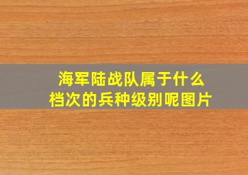 海军陆战队属于什么档次的兵种级别呢图片