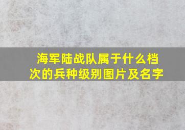 海军陆战队属于什么档次的兵种级别图片及名字