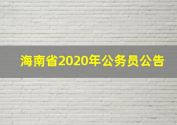 海南省2020年公务员公告