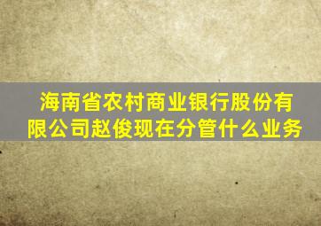 海南省农村商业银行股份有限公司赵俊现在分管什么业务