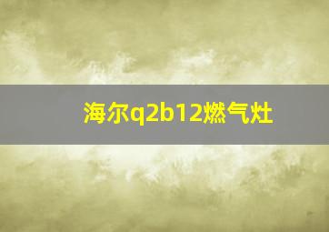 海尔q2b12燃气灶