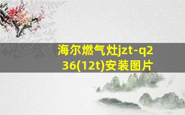 海尔燃气灶jzt-q236(12t)安装图片