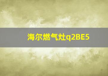 海尔燃气灶q2BE5