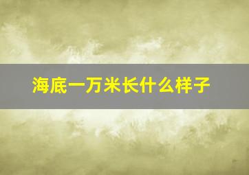 海底一万米长什么样子