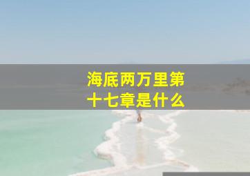 海底两万里第十七章是什么