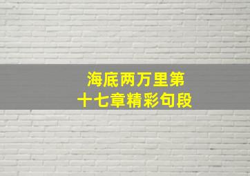 海底两万里第十七章精彩句段